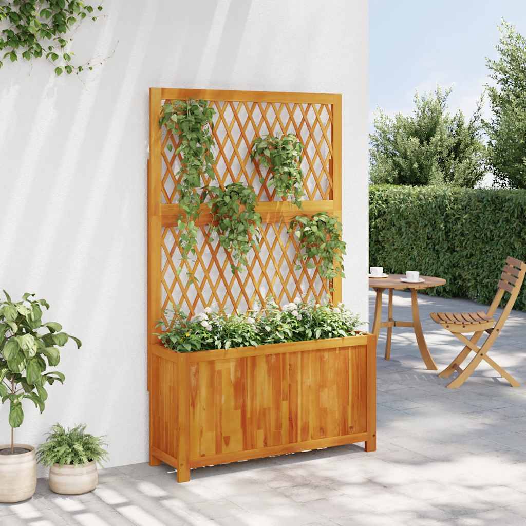 Γλάστρα με Καφασωτό 100x32x165 εκ. Μασίφ Ξύλο Ακακίας