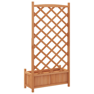 Γλάστρα με Πλέγμα Καφέ 75x35x150 εκ. από Μασίφ Ξύλο Ελάτης