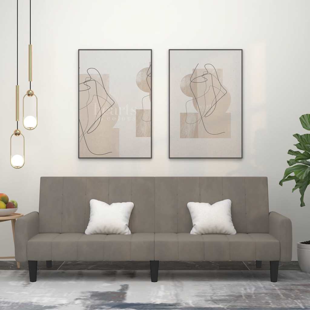 Καναπές Κρεβάτι Διθέσιος Ανοιχτό Γκρι Βελούδινος - Pakobazaar