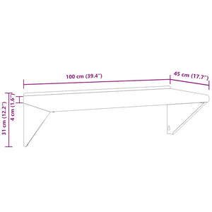 Ράφι Τοίχου Ασημί 100x45x31 εκ. Ανοξείδωτο Ατσάλι - PAKOBAZAAR