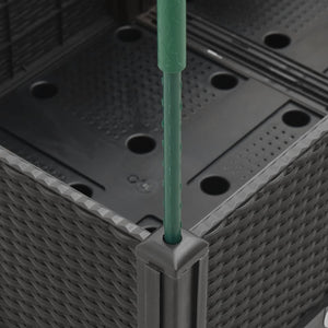 Ζαρντινιέρα Κήπου με Καφασωτό Μαύρο 120 x 40 x 142,5 εκ. από PP