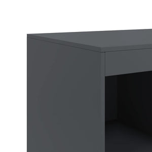 Ντουλάπι Ανθρακί 67 x 39 x 95 εκ. από Ατσάλι