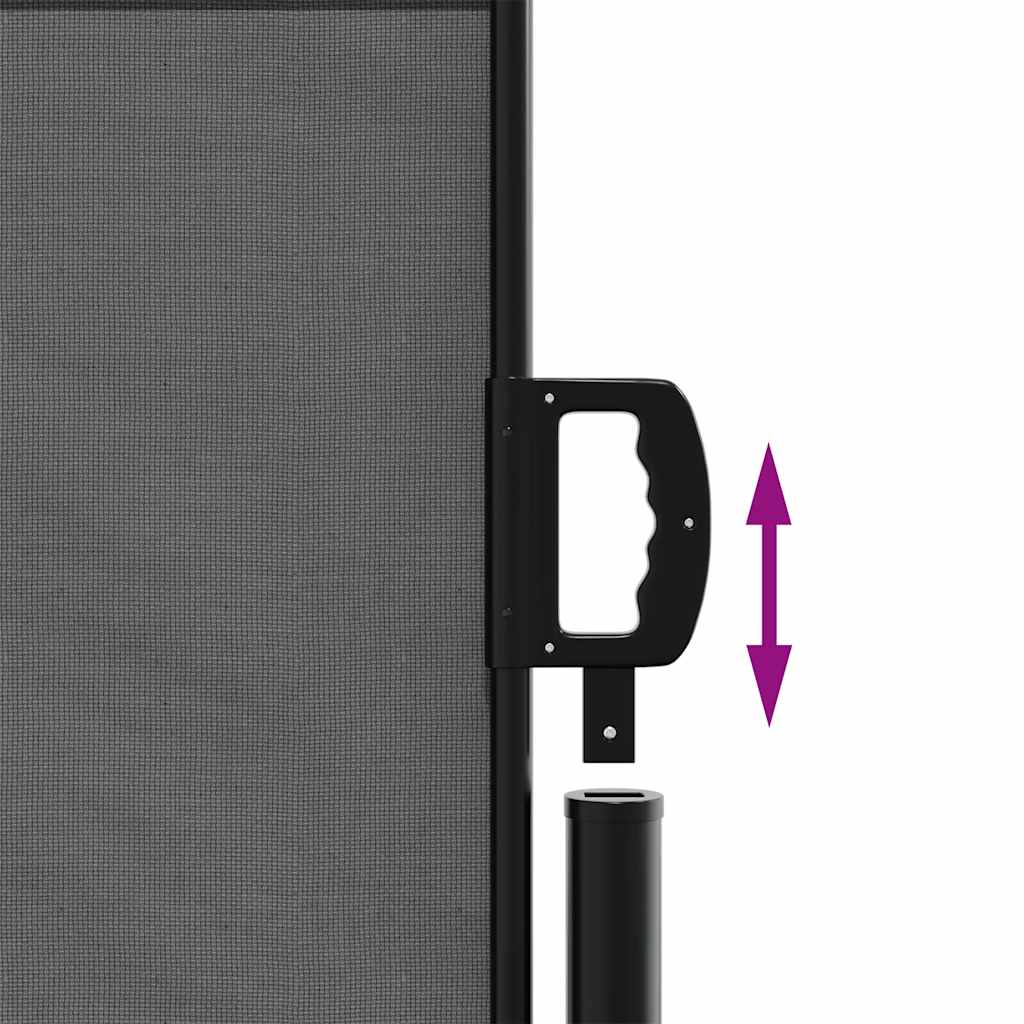 Πτυσσόμενη Πλαϊνή Τέντα Ανθρακί 117x300 εκ.