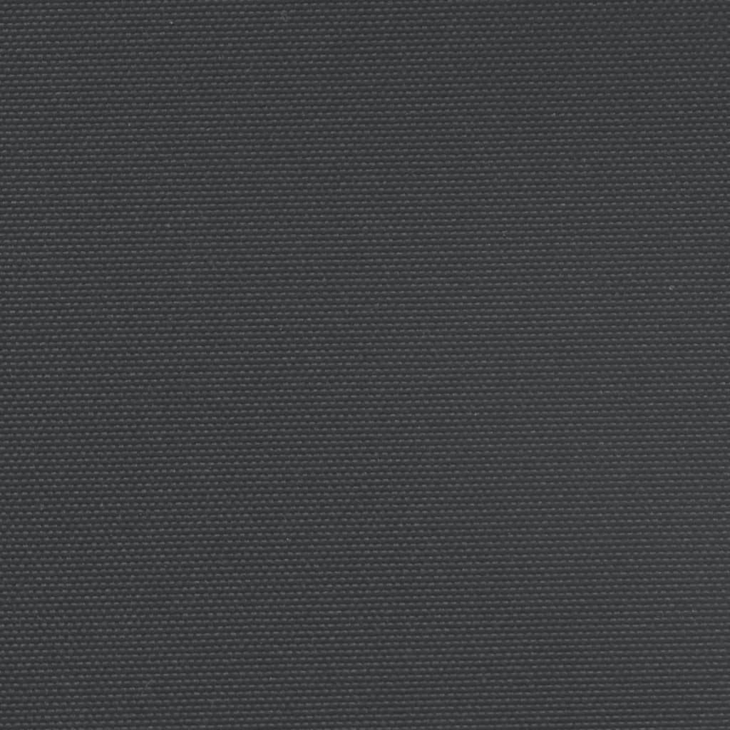 Σκίαστρο Πλαϊνό Συρόμενο Μαύρο 220 x 1200 εκ. - Pakobazaar