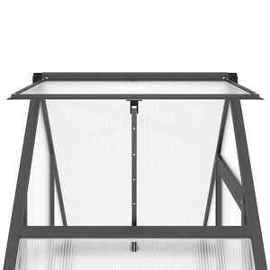 Θερμοκήπιο με Πλαίσιο Βάσης Ανθρακί 169x58x195 εκ. Αλουμίνιο