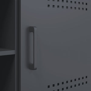 Έπιπλο Τηλεόρασης Ανθρακί 100,5x39x50,5 εκ. από Ατσάλι