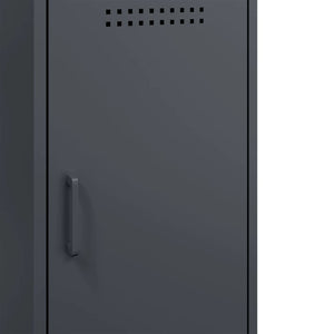 Ντουλάπι Ανθρακί 36x39x79 εκ. από Χάλυβα