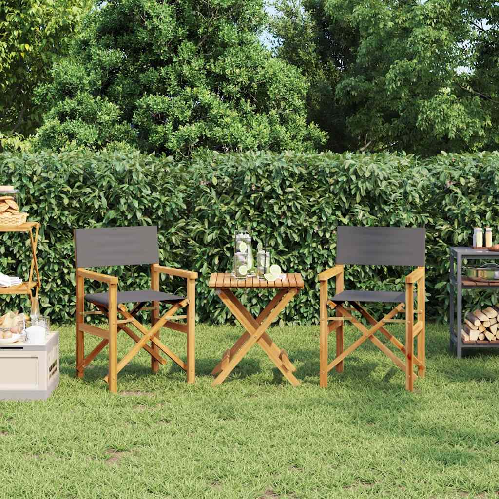 Καρέκλες Σκηνοθέτη Πτυσσόμενες 2 τεμ. Γκρι από Μασίφ Ξύλο Teak - Pakobazaar