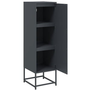 Ντουλάπι Ανθρακί 36x39x123 εκ. από Ατσάλι