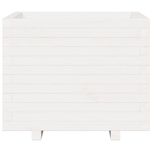 Ζαρντινιέρα Κήπου Λευκή 60x60x49,5 εκ. από Μασίφ Ξύλο Πεύκου