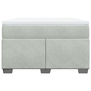 Κρεβάτι Boxspring με Στρώμα Ανοιχτό Γκρι 120x190 εκ. Βελούδινο - Pakobazaar