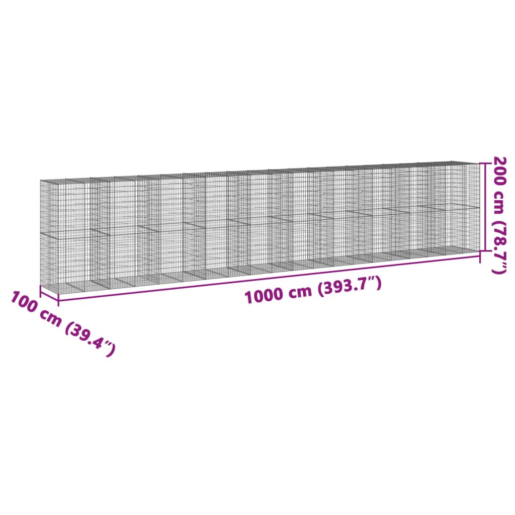 Συρματοκιβώτιο με Κάλυμμα 1000x100x200 εκ. Γαλβανισμένο Χάλυβα - Pakobazaar