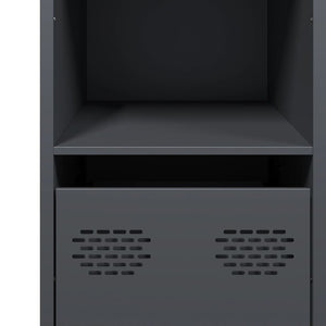 Ντουλάπι Ανθρακί 101,5x39x73,5 εκ. από Χάλυβα Ψυχρής Έλασης - Pakobazaar