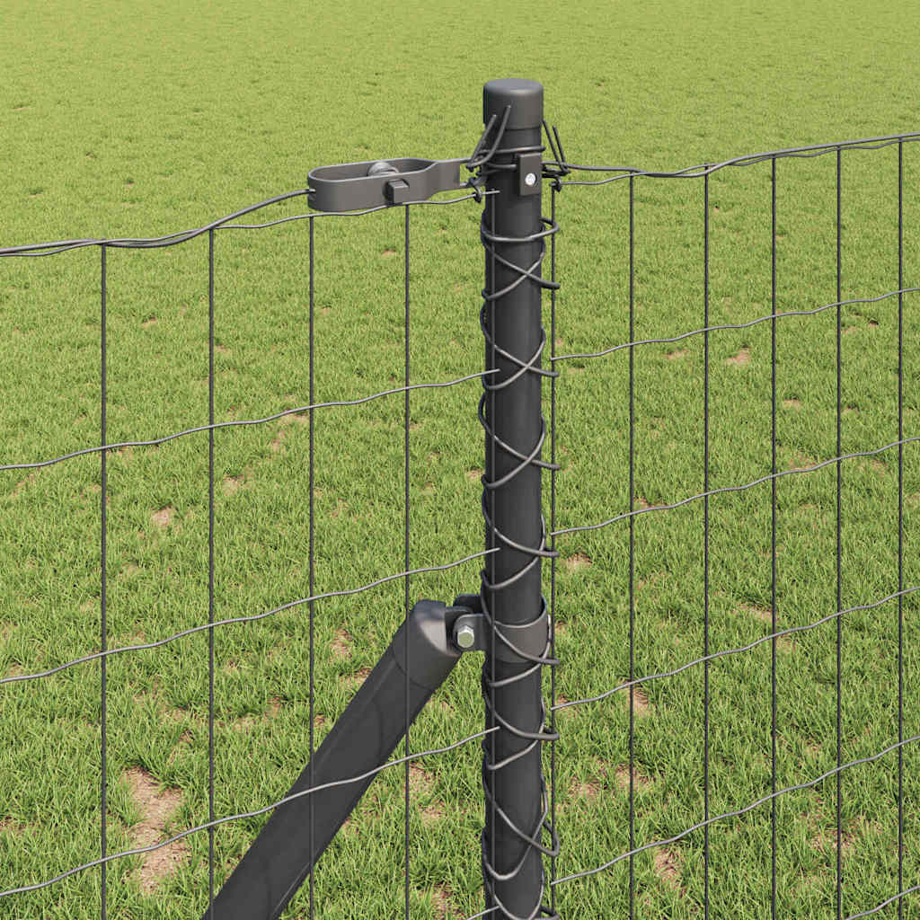 Ευρωπαϊκή Στήριξη Φράχτη 10 x 1,2 μ PVC-Επικαλυμμένο Ατσάλι