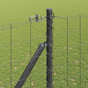 Ευρωπαϊκός Φράκτης με Ακίδες 10 x 1,6 m PVC-Επικαλυμμένο Ατσάλι