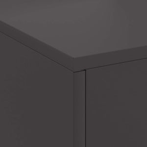 Φωτιά Μαύρο 80 x 50 x 96 εκ. Ψυχρής έλασης χάλυβας - Pakobazaar