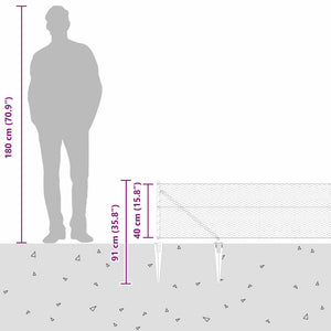Εξαγωνική Φράχτη με Στύλο 100 x 0,4 μ. PVC-Επικαλυμμένο Ατσάλι