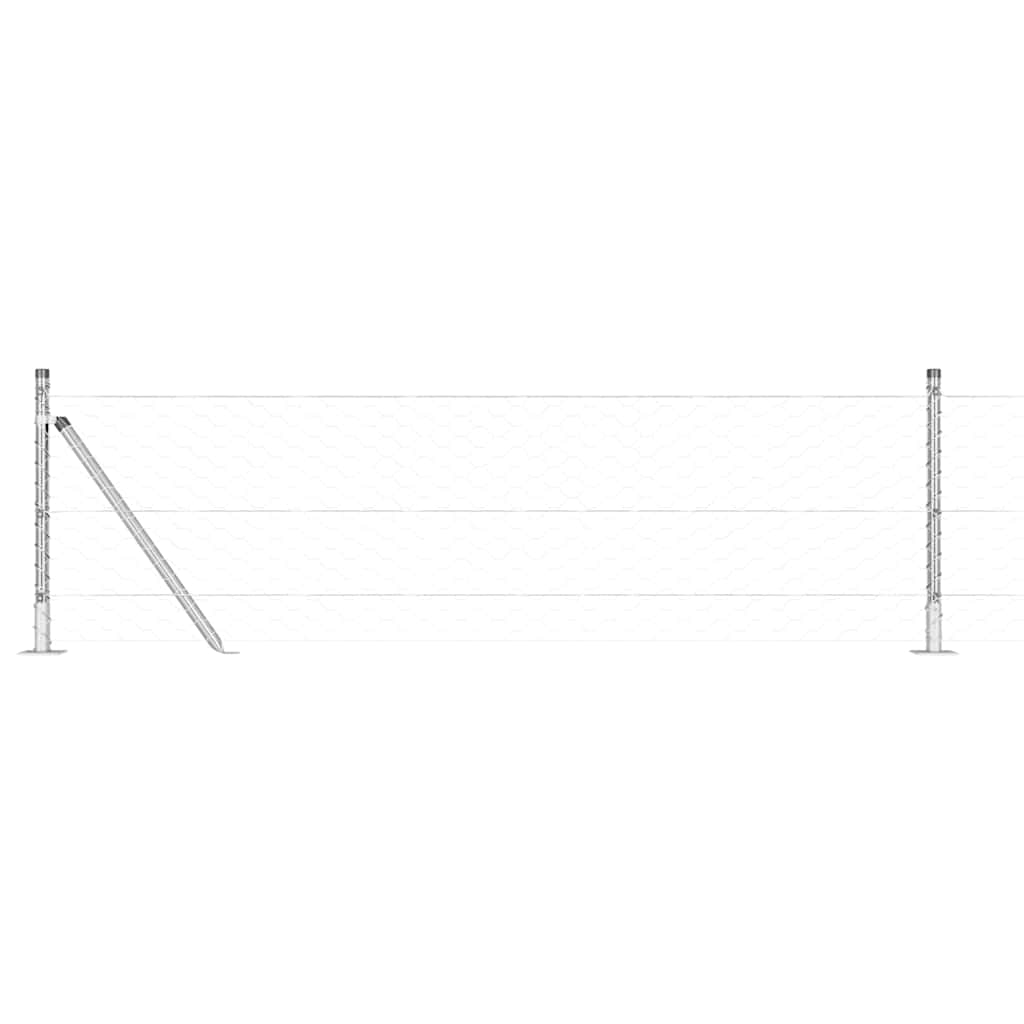 Στύλος Περιφράξεων Ασημί 10 x 0,6 m (50 mm πλέγμα) Ατσάλι