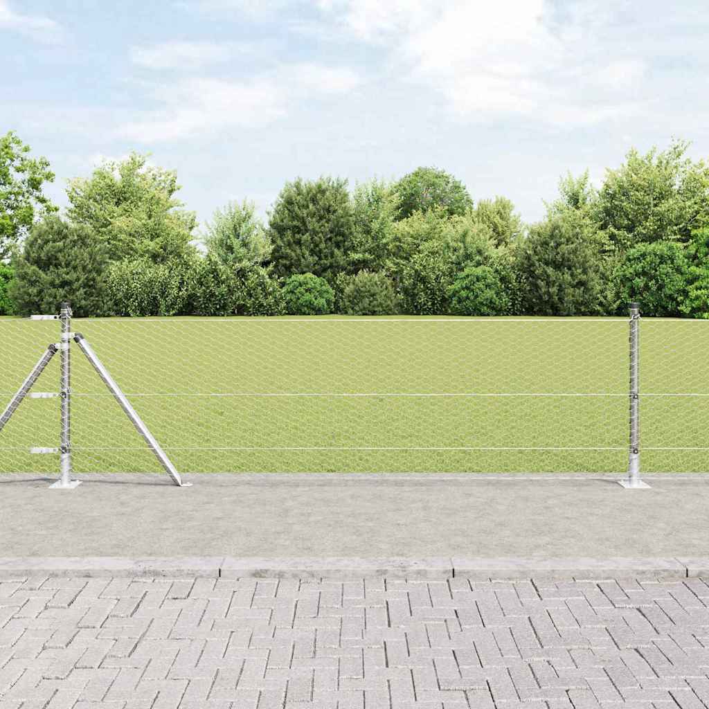 Στύλος Περιφράξεων Ασημί 50 x 0,6 μ (25 mm δίκτυο) Ατσάλι - Pakobazaar