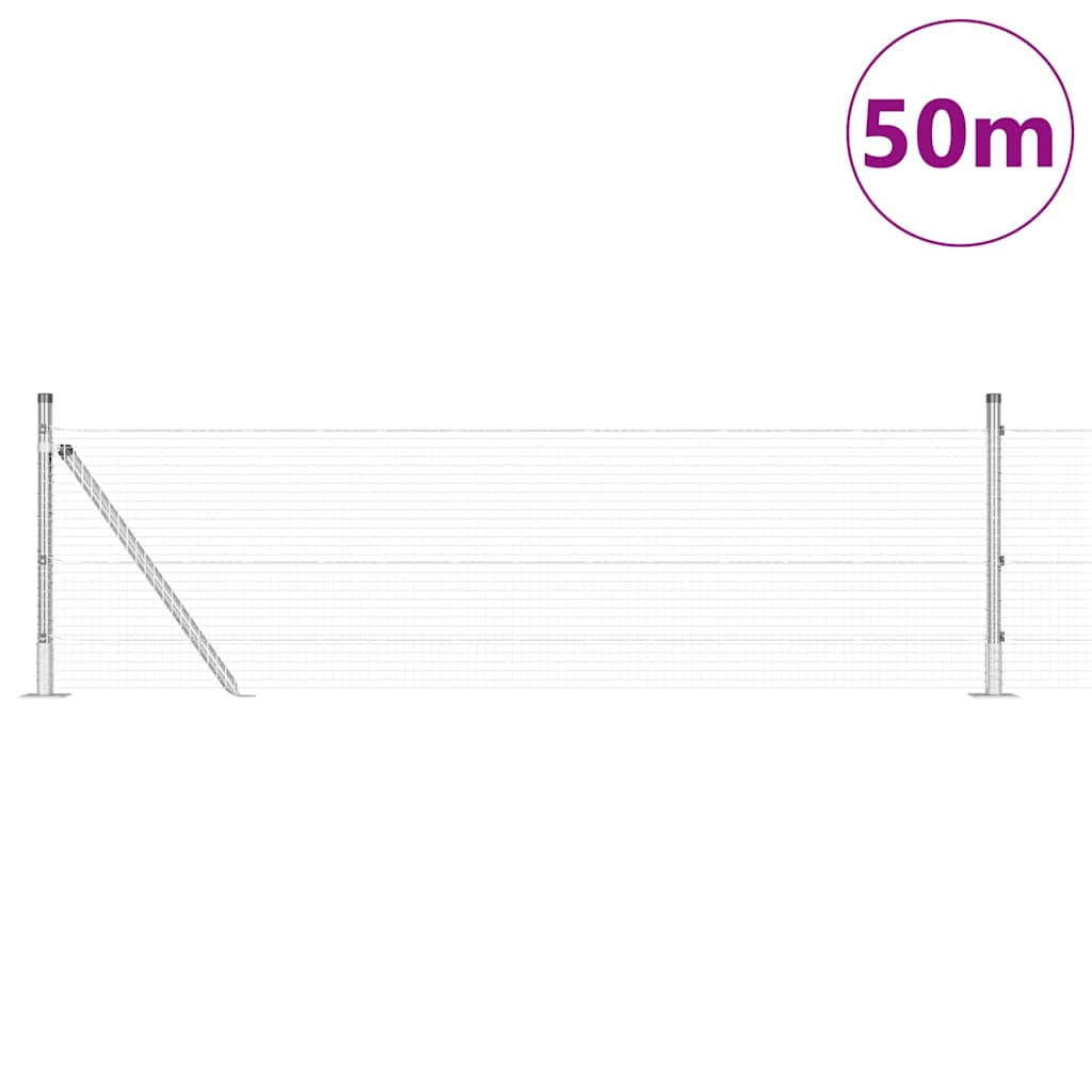 Συρματόπλεγμα με Σκυρόδεμα 50 x 0,6 μ PVC-Επικαλυμμένο Ατσάλι