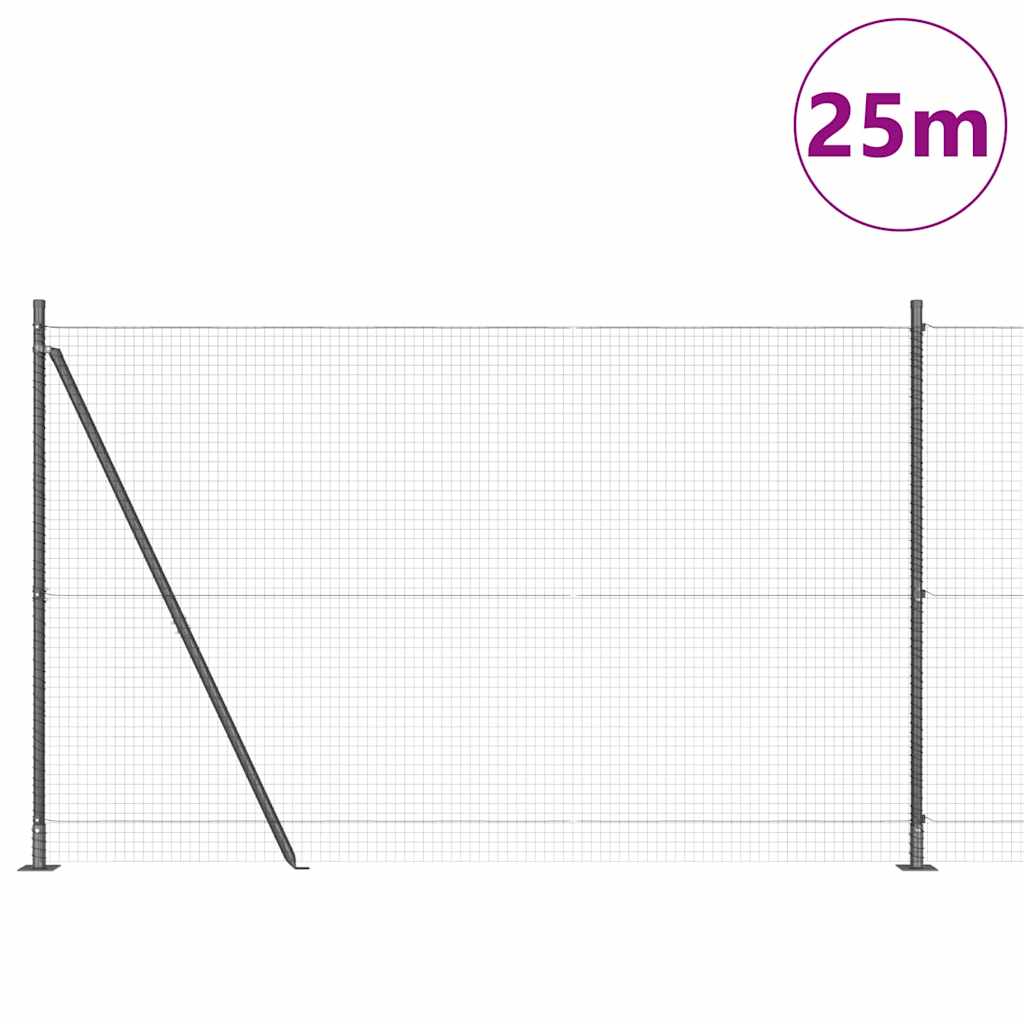 Συρματόπλεγμα με Σκυρόδεμα 25 x 1,6 μ PVC-Επικαλυμμένο Ατσάλι