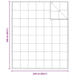 Κουβέρτα 2 σε 1 Λευκό 240 x 220 cm Φτερό
