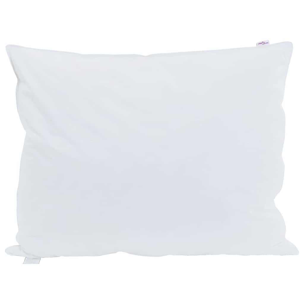 Μαξιλάρι με μαξιλάρι 2 pcs Λευκό 30 x 50 cm Φτερό