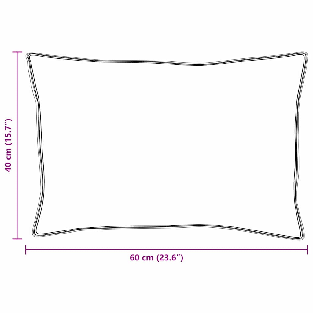 Μαξιλάρι με μαξιλάρι 2 pcs Λευκό 40 x 60 cm Φτερό