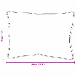 Μαξιλάρι με μαξιλάρι 2 pcs Λευκό 61 x 41 x 20 εκ Πολυεστέρας - Pakobazaar
