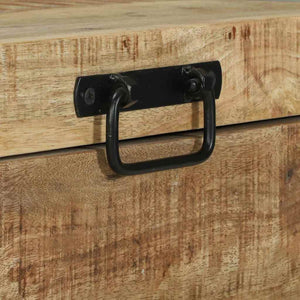 Αποθηκευτικές Κάσες Καφέ 60 x 30 x 30 cm Μασίφ ξύλο μάνγκο - Pakobazaar