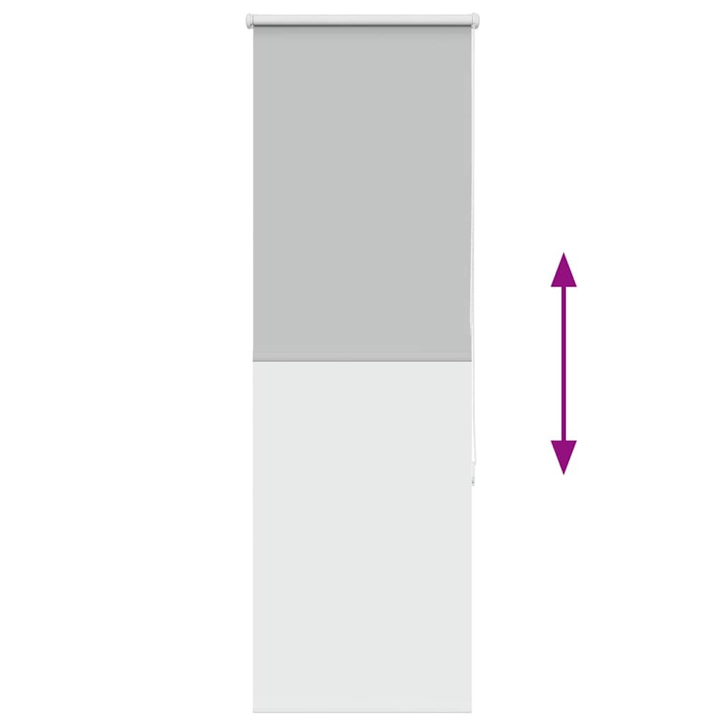 Roller Blind Blackout ανοιχτό γκρι 55x175 cm Πλάτος υφάσματος - Pakobazaar