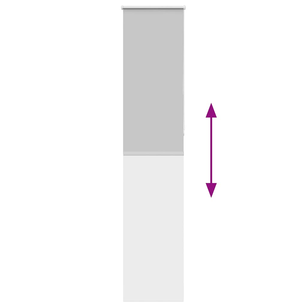 Roller Blind Blackout ανοιχτό γκρι 50x210 cm Πλάτος υφάσματος