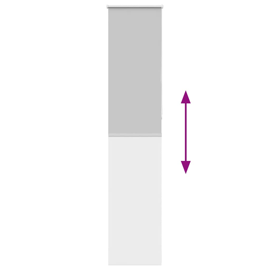 Roller Blind Blackout ανοιχτό γκρι 55x210 cm Πλάτος υφάσματος - Pakobazaar