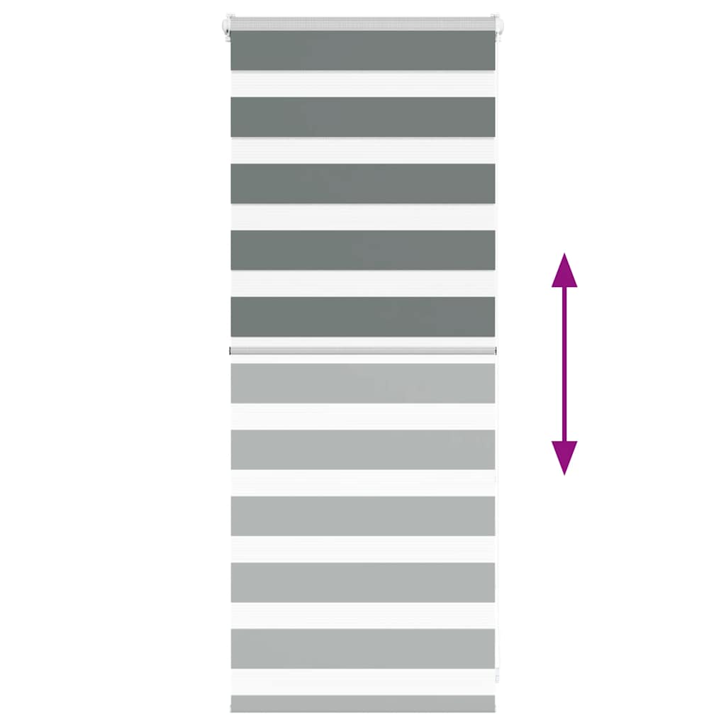 Ζέβρα τυφλή Σκούρο Γκρι Πλάτος υφάσματος 60,9 εκ. Πολυεστέρας - Pakobazaar