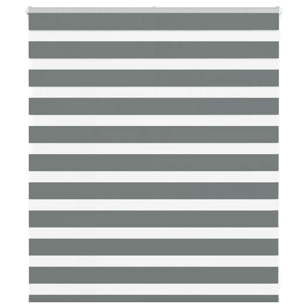 Ζέβρα τυφλή Σκούρο Γκρι Πλάτος υφάσματος 115,9 εκ. Πολυεστέρας