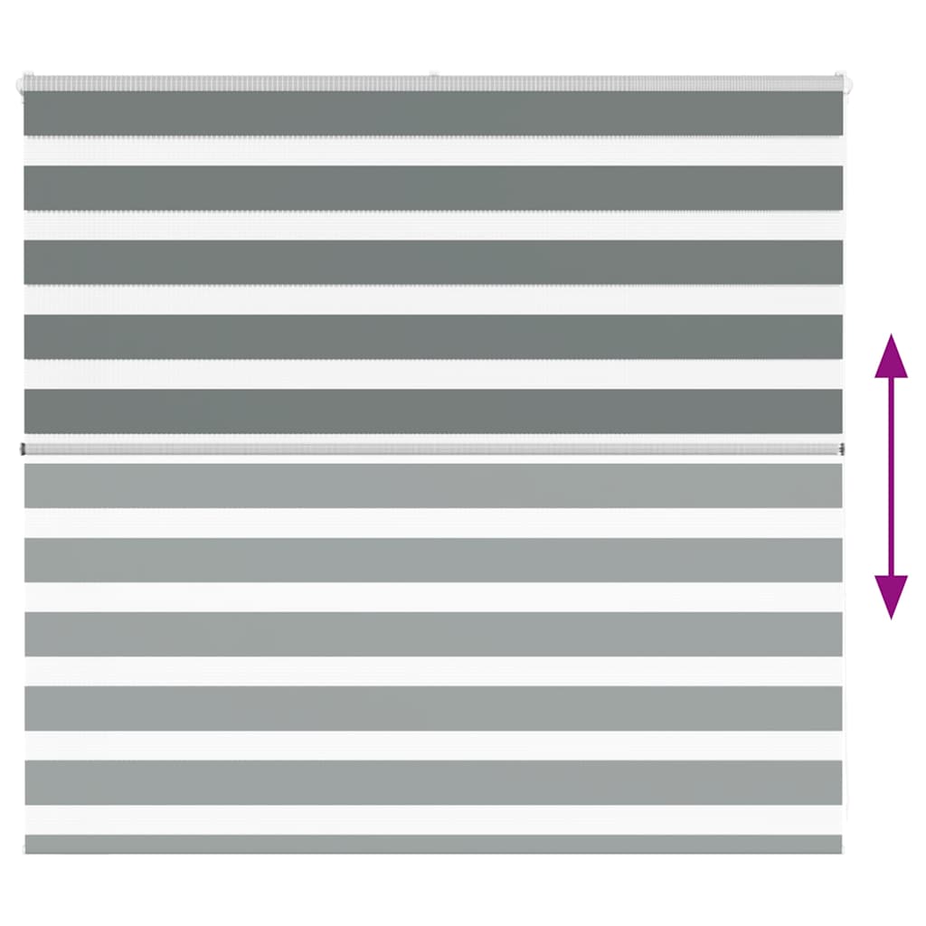 Ζέβρα τυφλή Σκούρο Γκρι Πλάτος υφάσματος 155,9 εκ. Πολυεστέρας