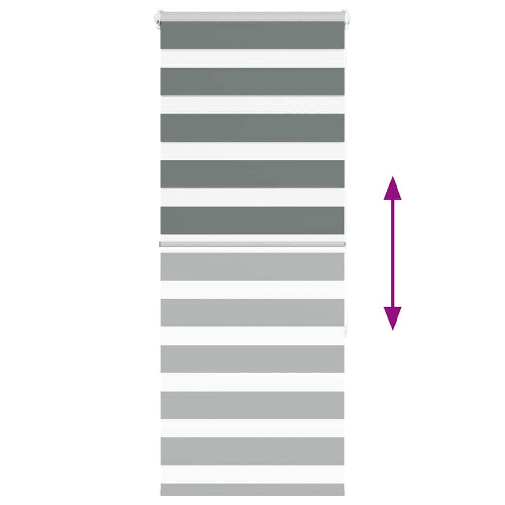 Ζέβρα τυφλή Σκούρο Γκρι Πλάτος υφάσματος 55,9 εκ. Πολυεστέρας