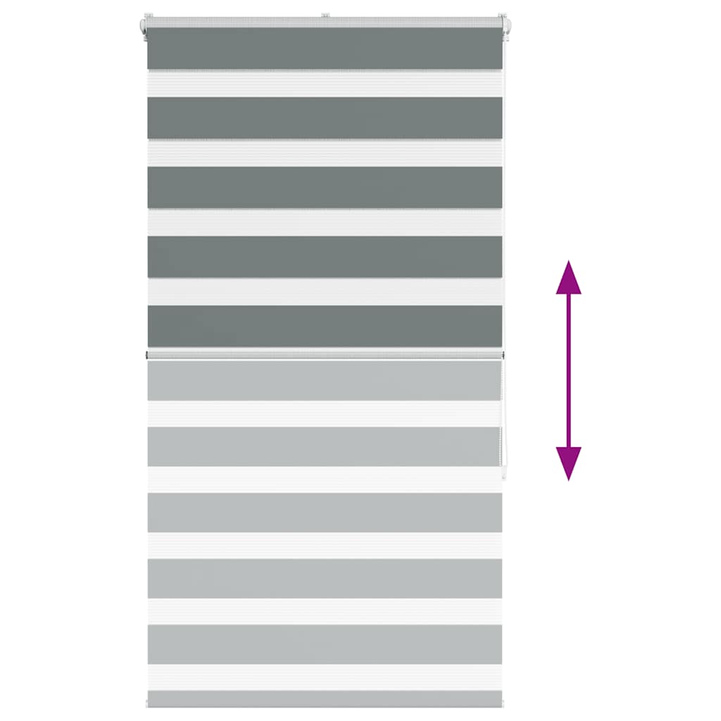 Ζέβρα τυφλή Σκούρο Γκρι Πλάτος υφάσματος 75,9 εκ. Πολυεστέρας