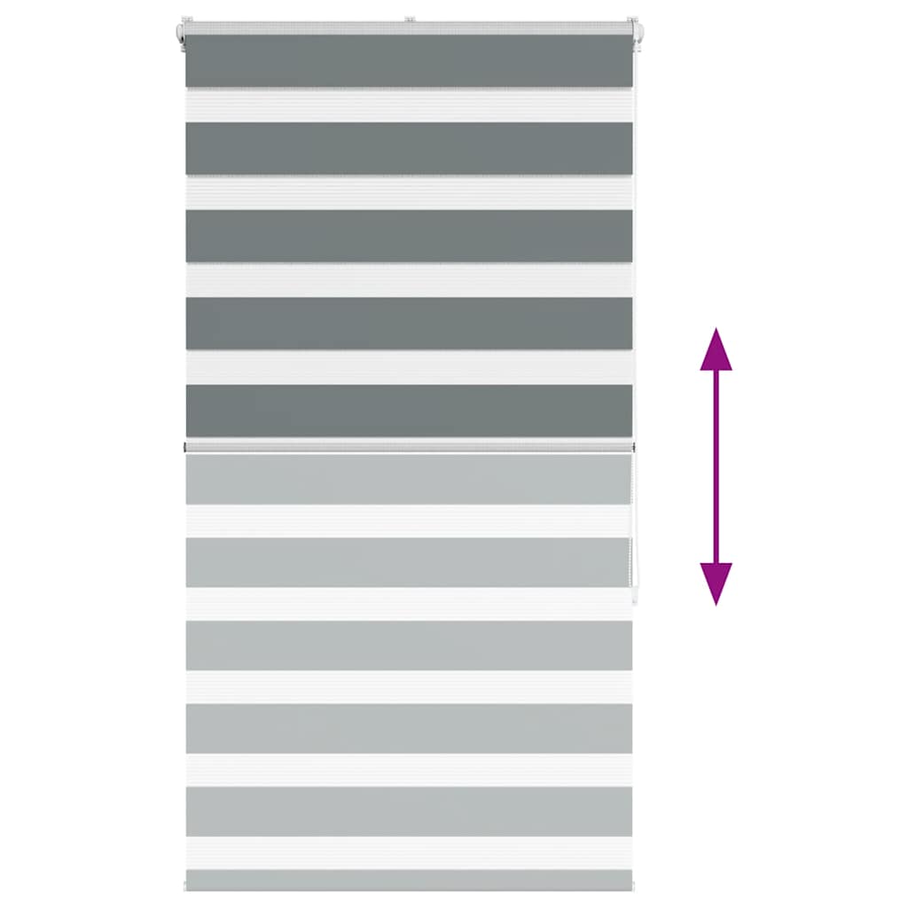 Ζέβρα τυφλή Σκούρο Γκρι Πλάτος υφάσματος 85,9 εκ. Πολυεστέρας