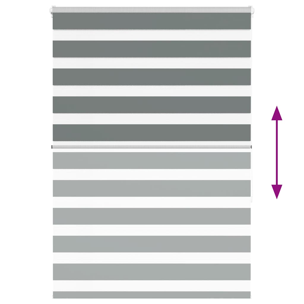 Ζέβρα τυφλή Σκούρο Γκρι Πλάτος υφάσματος 125,9 εκ. Πολυεστέρας