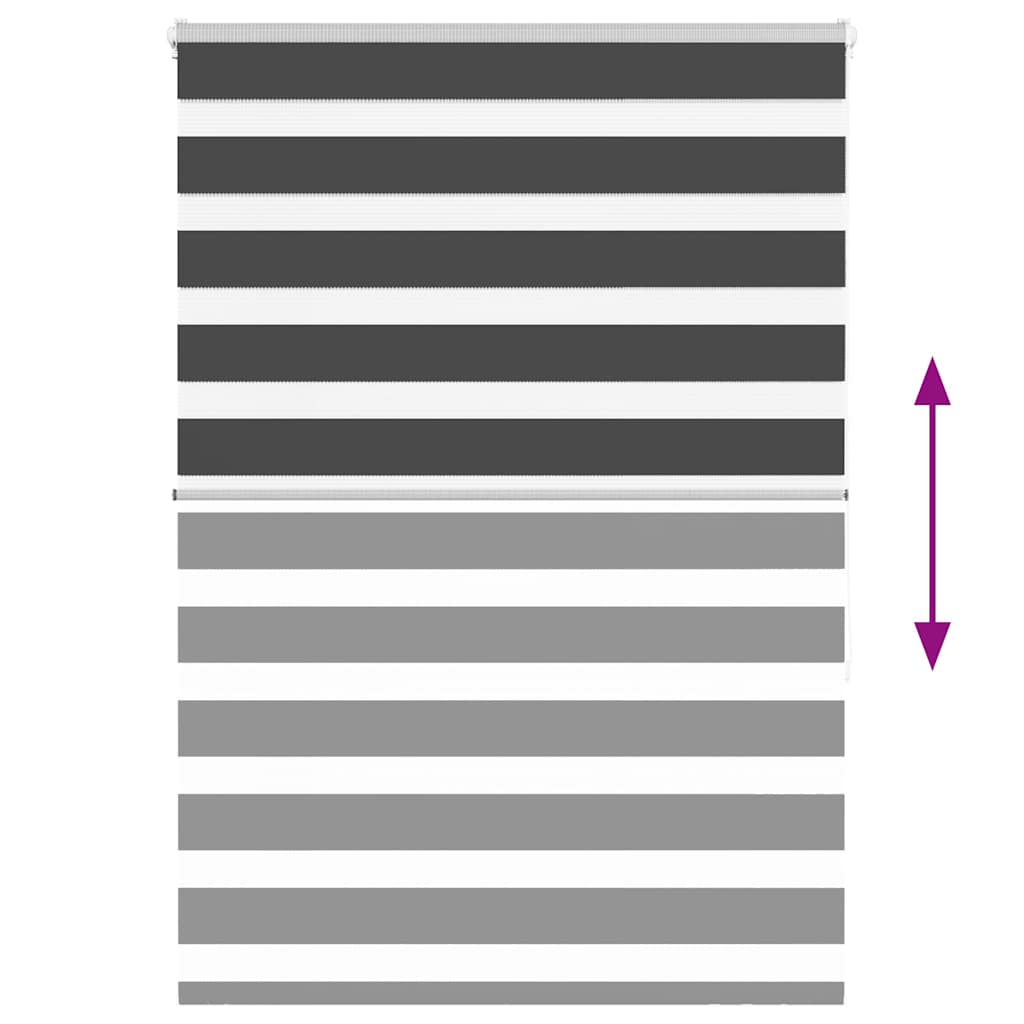 Ζέβρα τυφλή Μαύρο Πλάτος υφάσματος 100,9 εκ. Πολυεστέρας