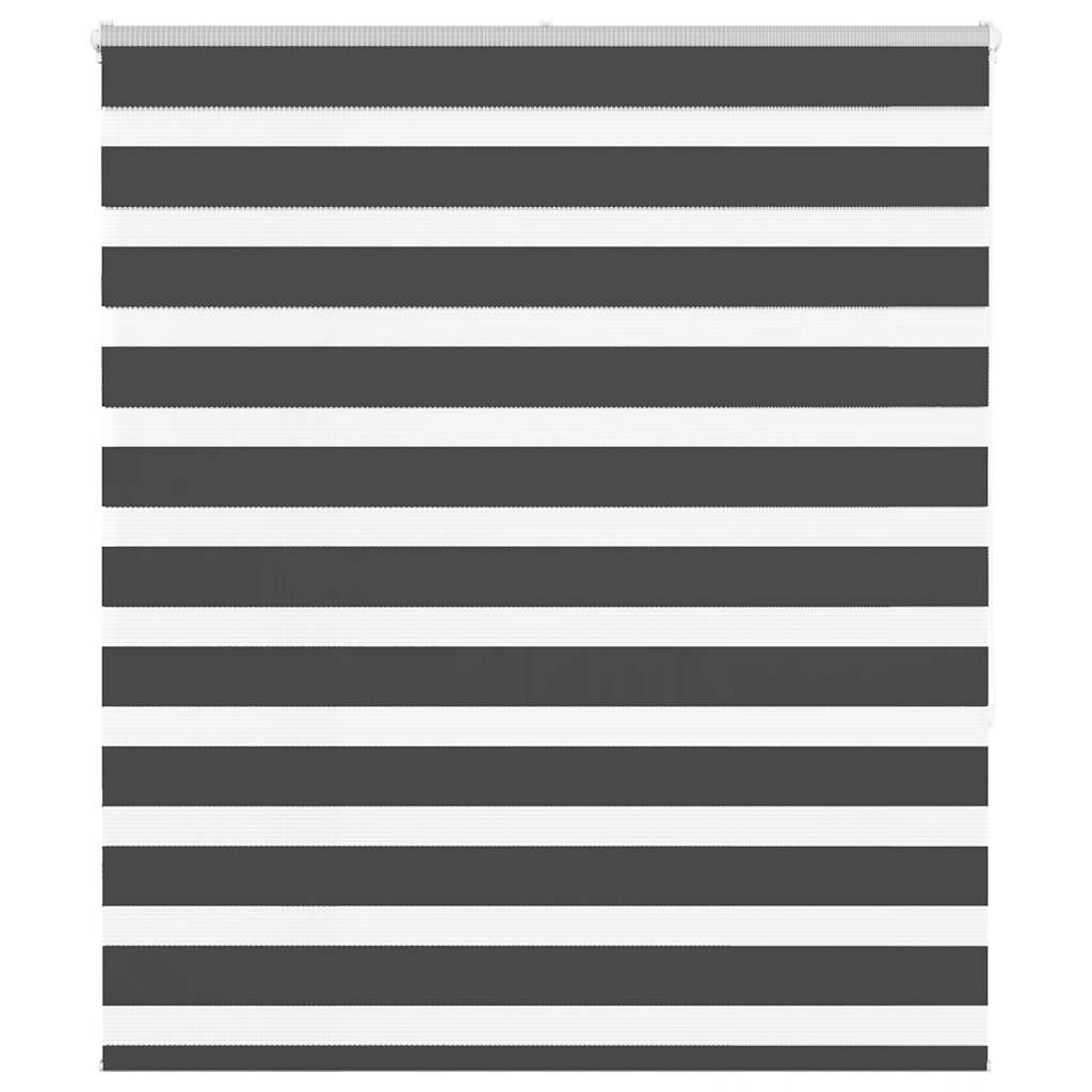 Ζέβρα τυφλή Μαύρο Πλάτος υφάσματος 115,9 εκ. Πολυεστέρας