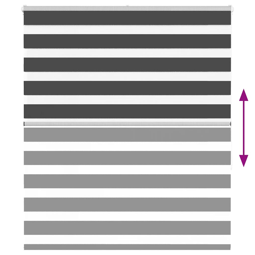 Ζέβρα τυφλή Μαύρο Πλάτος υφάσματος 115,9 εκ. Πολυεστέρας