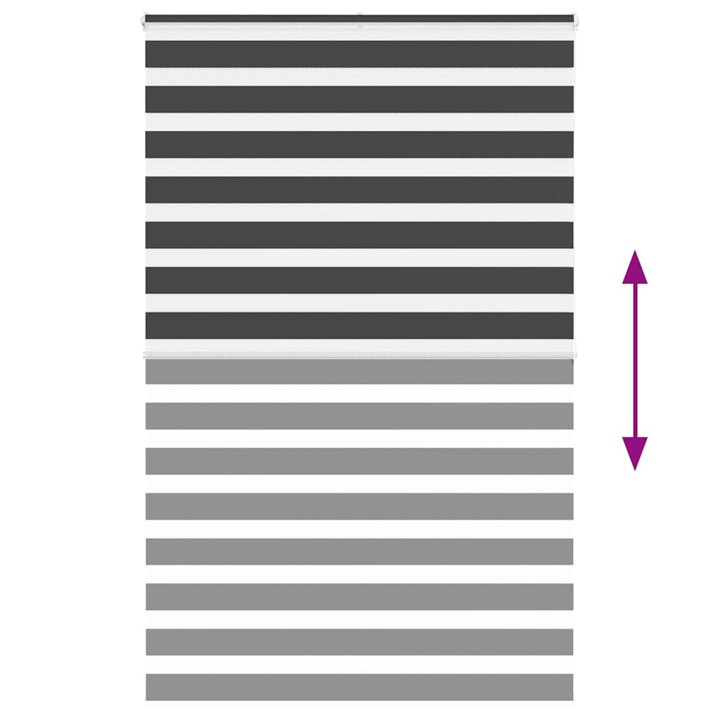 Ζέβρα τυφλή Μαύρο Πλάτος υφάσματος 140,9 εκ. Πολυεστέρας