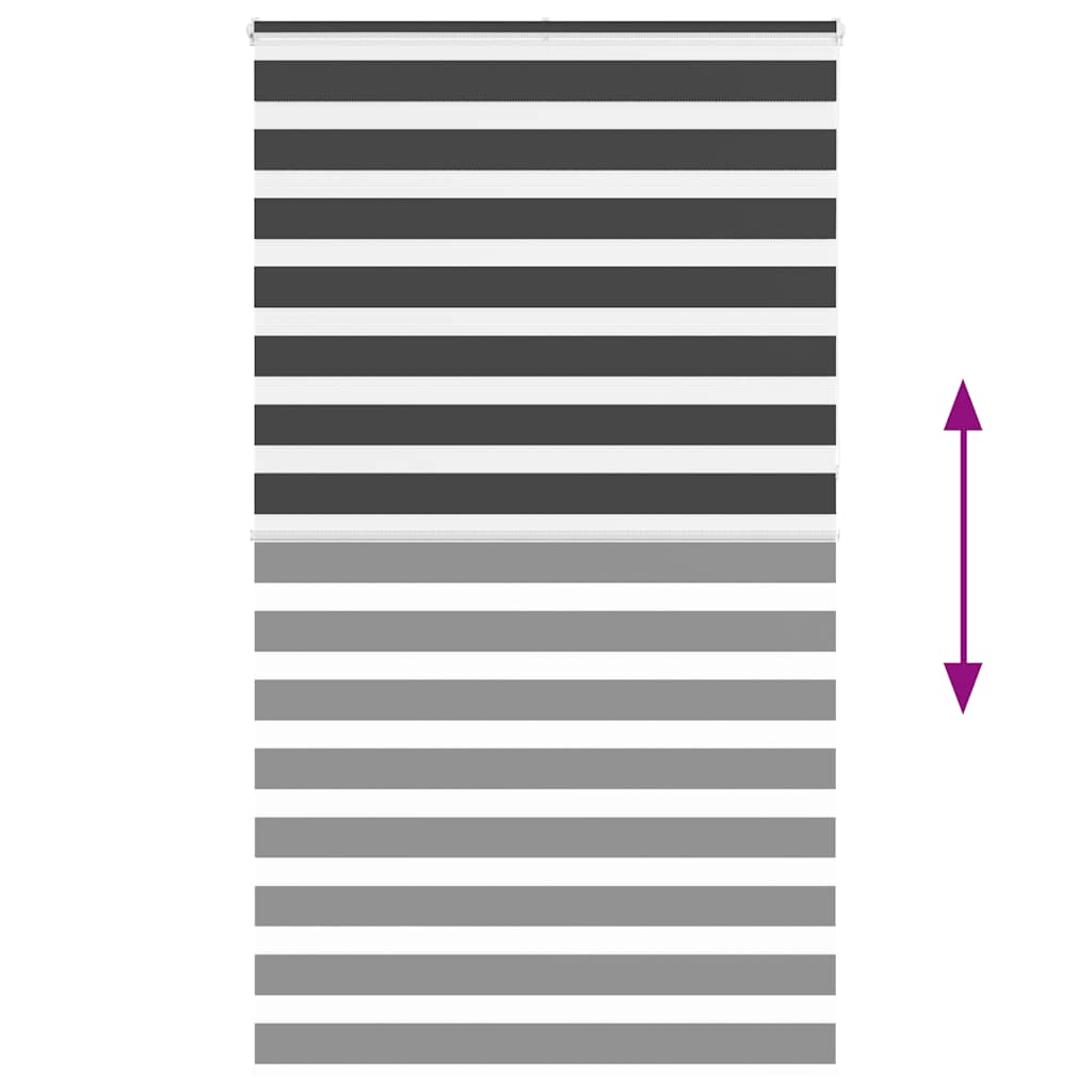 Ζέβρα τυφλή Μαύρο Πλάτος υφάσματος 125,9 εκ. Πολυεστέρας