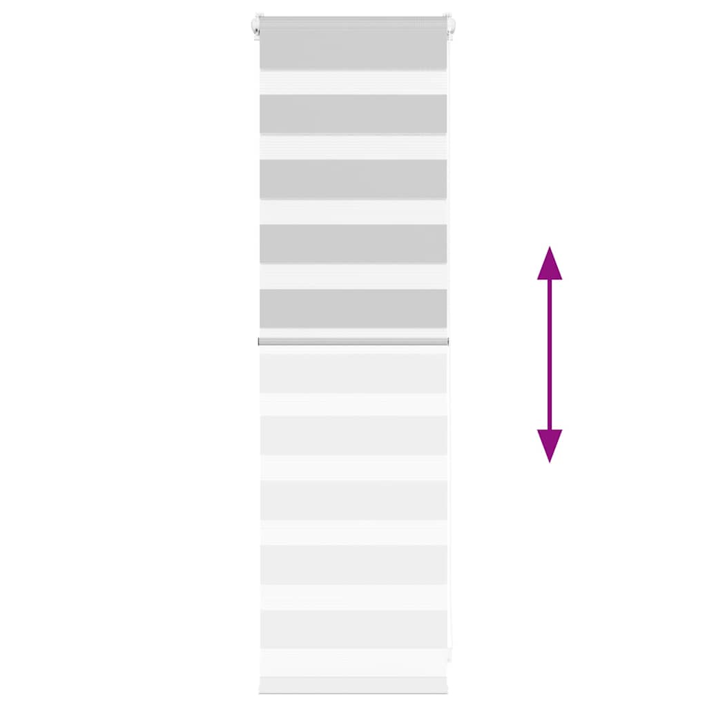 Ζέβρα τυφλή Ανοιχτό Γκρι Πλάτος υφάσματος 35,9 εκ. Πολυεστέρας