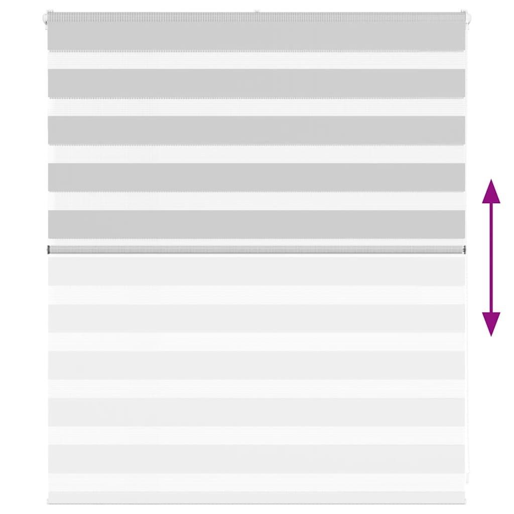 Ζέβρα τυφλή Ανοιχτό Γκρι Πλάτος υφάσματος 125,9 εκ. Πολυεστέρας