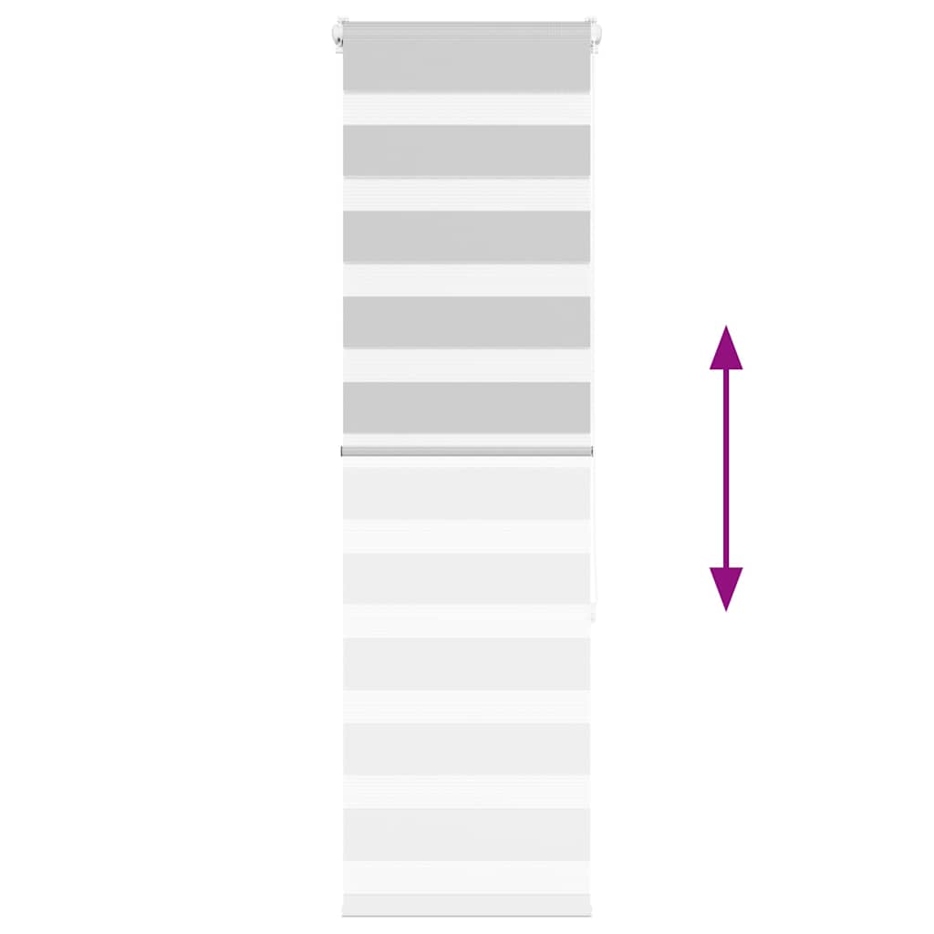 Ζέβρα τυφλή Ανοιχτό Γκρι Πλάτος υφάσματος 35,9 εκ. Πολυεστέρας