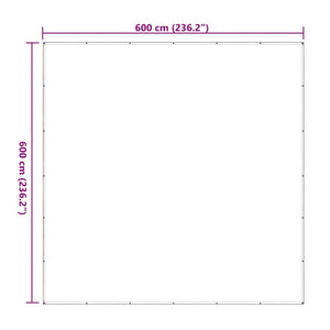 Σαφής μουσαμάς με οπές 6x6 m πολυαιθυλένιο - Pakobazaar