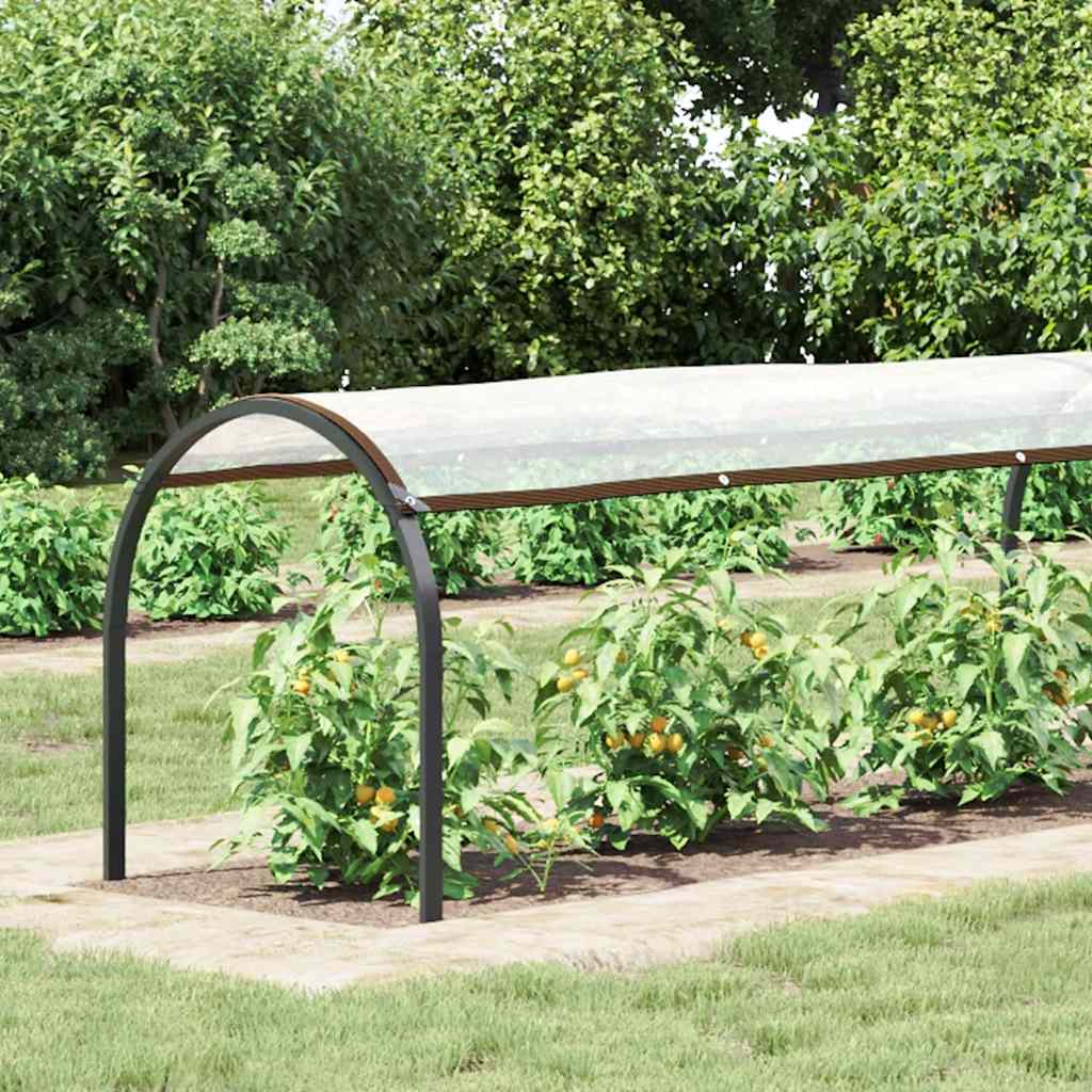 Σαφής μουσαμάς με οπές 1x12 m Πολυαιθυλένιο